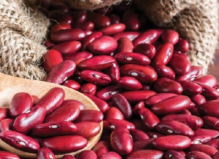 https://shp.aradbranding.com/قیمت خرید لوبیا قرمز در سمنان با فروش عمده